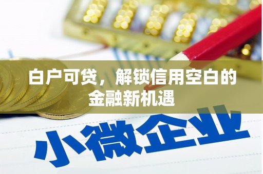吉林白户可贷，解锁信用空白的金融新机遇