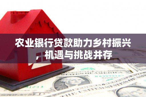 吉林农业银行贷款助力乡村振兴，机遇与挑战并存