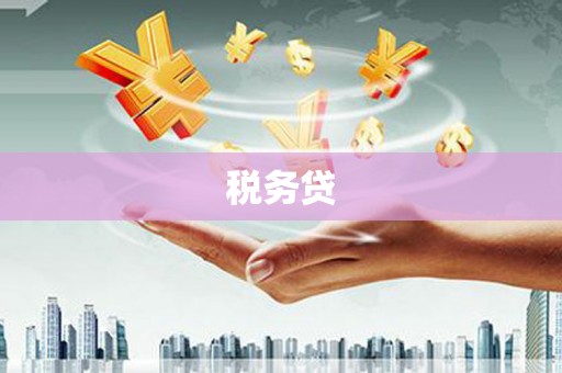 吉林税务贷