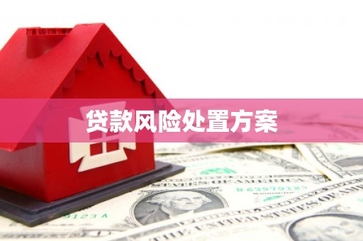 吉林贷款风险处置方案