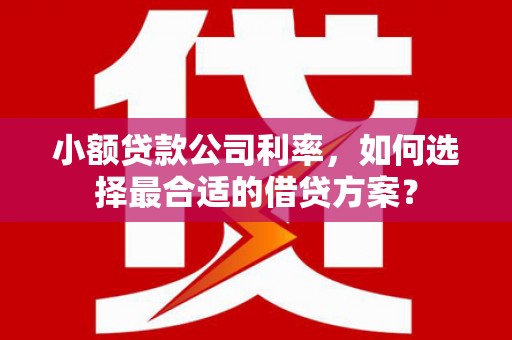 吉林小额贷款公司利率，如何选择最合适的借贷方案？