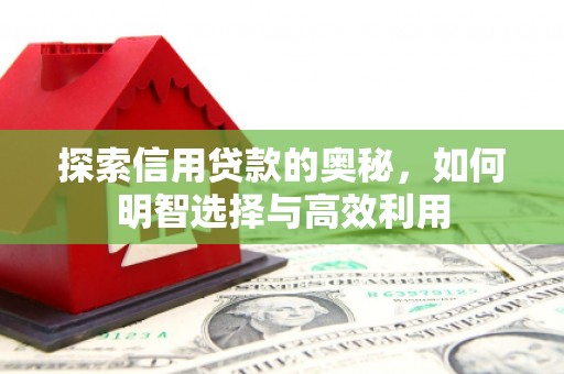吉林探索信用贷款的奥秘，如何明智选择与高效利用