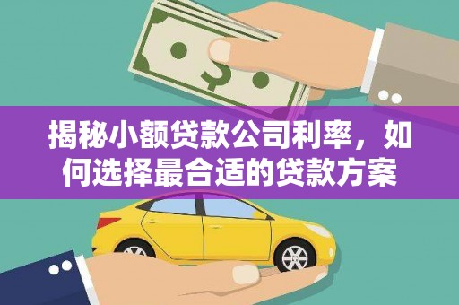 吉林揭秘小额贷款公司利率，如何选择最合适的贷款方案