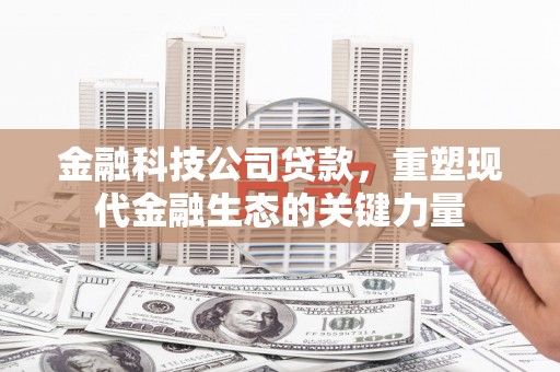 吉林金融科技公司贷款，重塑现代金融生态的关键力量