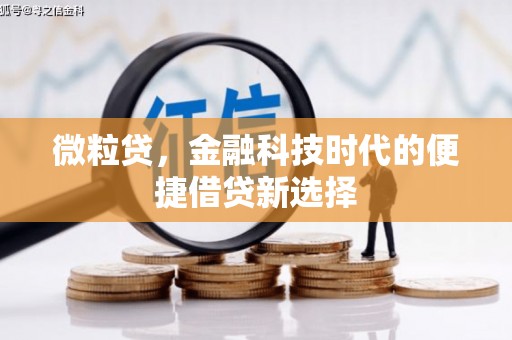 吉林微粒贷，金融科技时代的便捷借贷新选择