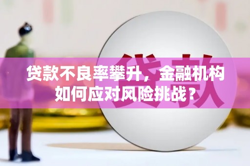 吉林贷款不良率攀升，金融机构如何应对风险挑战？