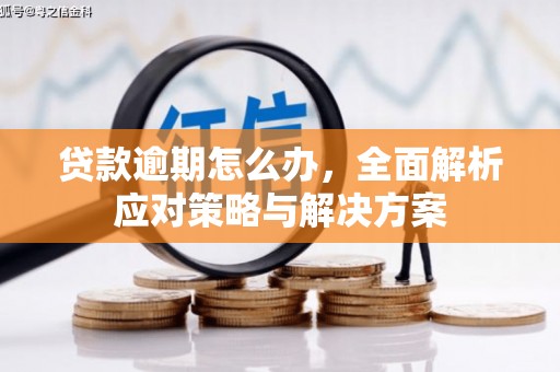 吉林贷款逾期怎么办，全面解析应对策略与解决方案
